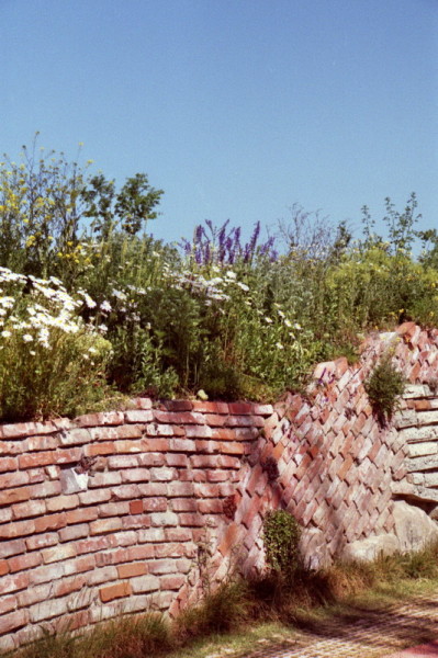 Mauern im Park