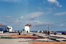 Der Hafen von Paros, Juni 1964