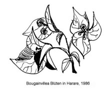 Bougainvilleas in Eikes Garten, 1986