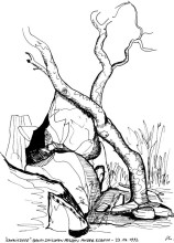 Ein "Kanniedood" Baum bei Auros, 23.6.1992