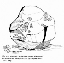 Flechten auf Waterberg Felsen, 24.9.1999