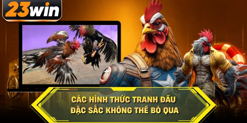 Các hình thức tranh đấu đặc sắc không thể bỏ qua