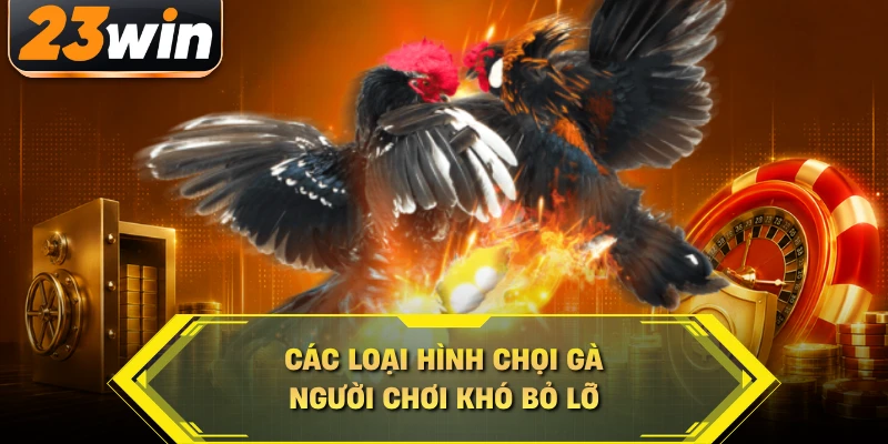 Các loại hình chọi gà người chơi khó bỏ lỡ
