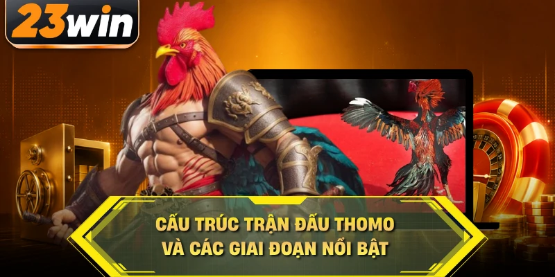 Cấu trúc trận đấu Thomo và các giai đoạn nổi bật