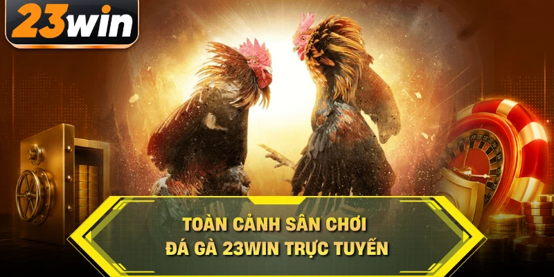 Toàn cảnh sân chơi đá gà 23WIN trực tuyến