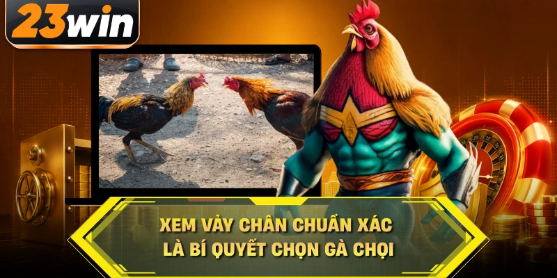 Xem vảy chân chuẩn xác là bí quyết chọn gà chọi